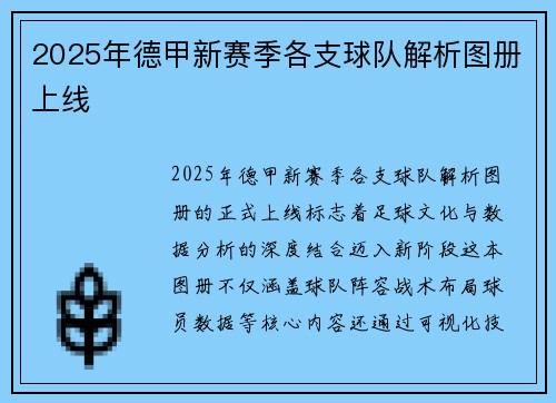 2025年德甲新赛季各支球队解析图册上线